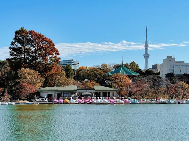 Poznávací zájezd do Japonska, Dovolená s CK 