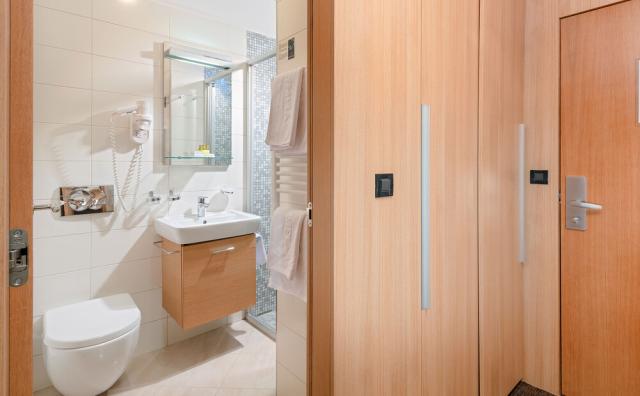 2lůžkový pokoj s výhledem do parku, Hotel Olympia, CK 