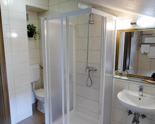 Dvoulůžkový pokoj s manželskou postelí, Hotel Piran, CK 