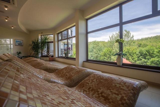 Hotel Dziki Potok, Karpacz, Dovolená s CK 