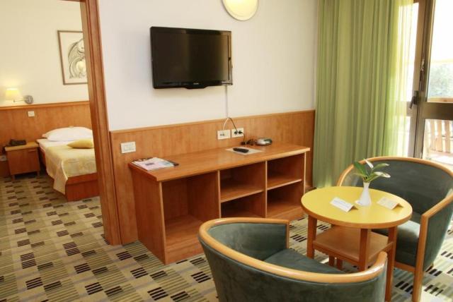 2lůžkový Suite, Hotel Svoboda, CK 
