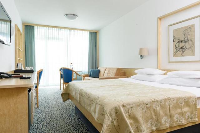 2lůžkový pokoj Comfort s přistýlkou, Hotel Svoboda, CK 