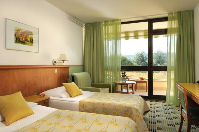 2lůžkový pokoj Standard, Hotel Svoboda, CK 