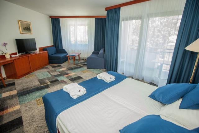 Hotel Toplice, Terme Čatež, Slovinsko, Dovolená s CK
