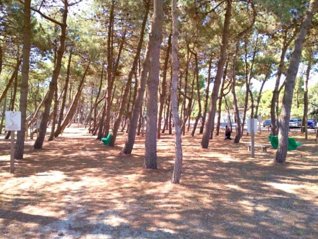 Camping Mare e Pineta, Lido di Spina, Itálie, Dovolená s CK 