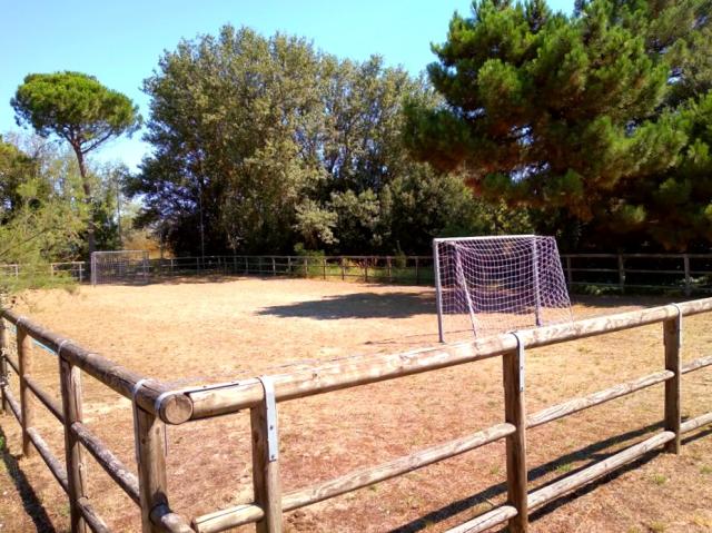 Camping Mare e Pineta, Lido di Spina, Itálie, Dovolená s CK 
