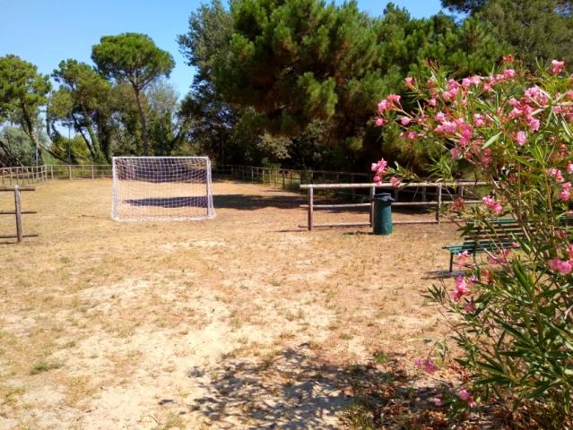 Camping Mare e Pineta, Lido di Spina, Itálie, Dovolená s CK 
