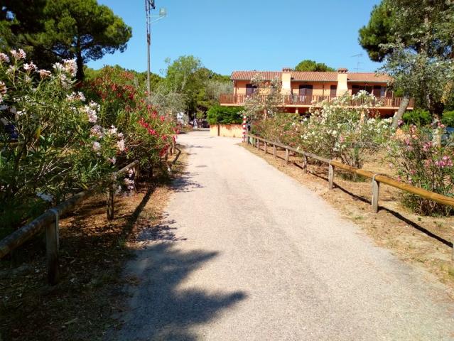 Camping Mare e Pineta, Lido di Spina, Itálie, Dovolená s CK 