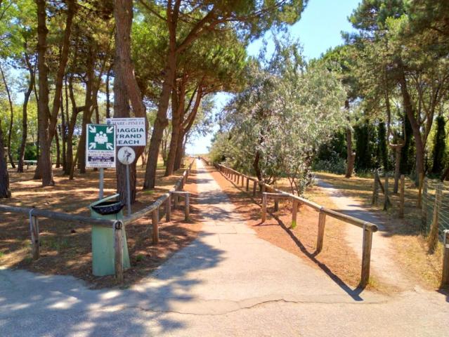 Camping Mare e Pineta, Lido di Spina, Itálie, Dovolená s CK 