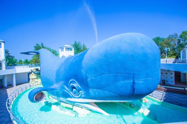Akvapark Atlantico Cesenatico, Itálie, Dovolená s CK 