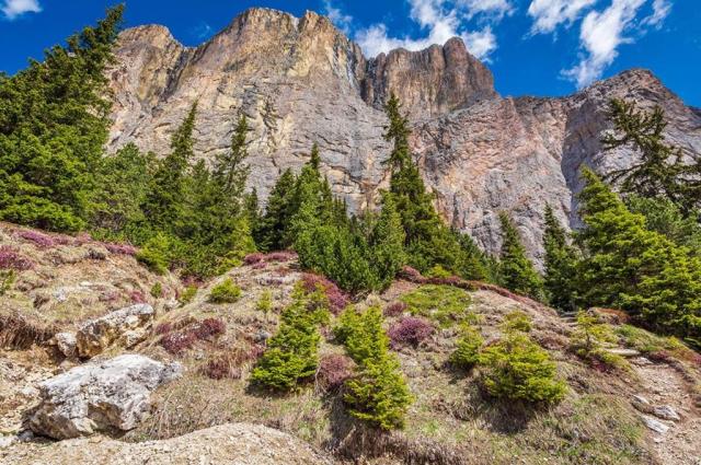 Hotel Villetta Maria, Canazei, Val di Fassa, Itálie, CK 