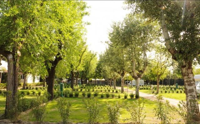 Marina Family Camping Village, Emiglia Romagna, Itálie, Dovolen