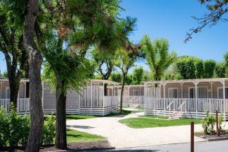 Tenuta Primero Grado Family Collection