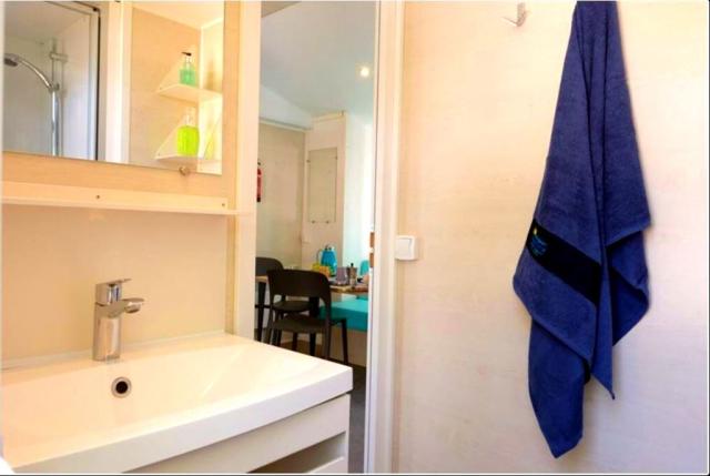 Mobilní dům PREMIUM, Camping Park Umag, Istrie, Chorvatsko, Dov