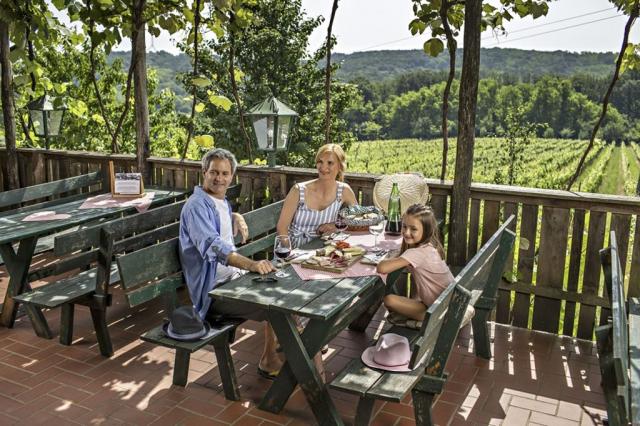Apartány Trobentica, Terme 3000, Moravské Toplice, Slovinsko, C