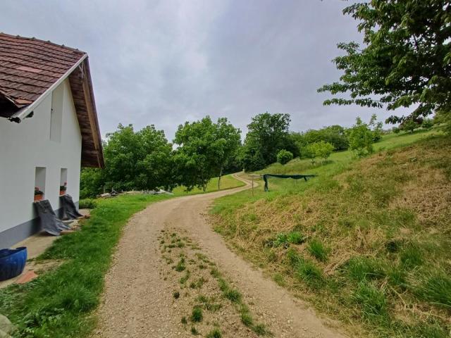 Hotel BioTerme, Mala Nedelja, Východní Slovinsko, CK 