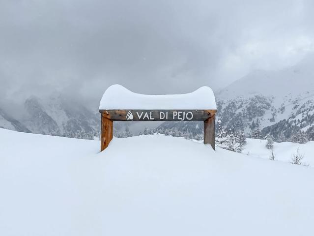 Hotel Residence Vioz, Apartmány, Pejo, Val di Sole, Itálie, Dov
