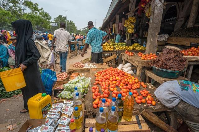 Poznávací zájezd na Zanzibar, Cestovní kancelář 