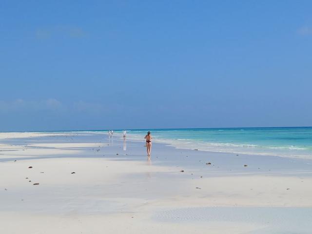 Poznávací zájezd na Zanzibar, Cestovní kancelář 