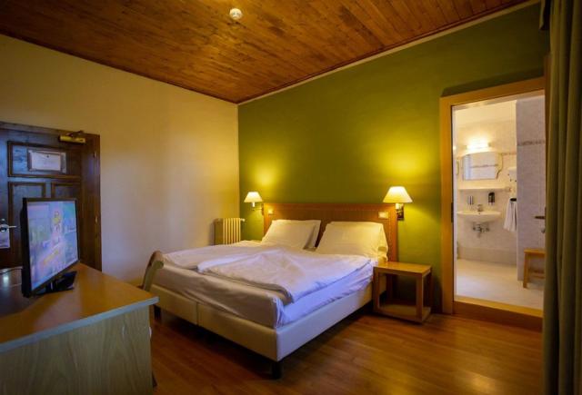 2lůžkový pokoj, Hotel Salegg, Alpe de Siusi, Itálie, CK 