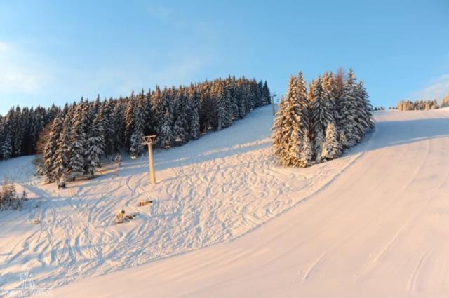 Wellness Hotel Montis, Golte, Slovinsko, CK 