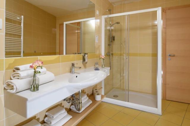 2lůžkový pokoj Superior Twinroom, Wellness hotel Monti, Golte, 