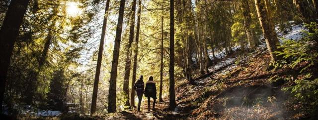Termy Karkonosze Resort & Spa, Staniszów, Dovolená s CK 