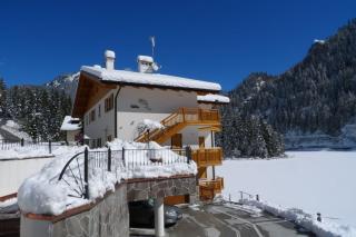 Edelweiss