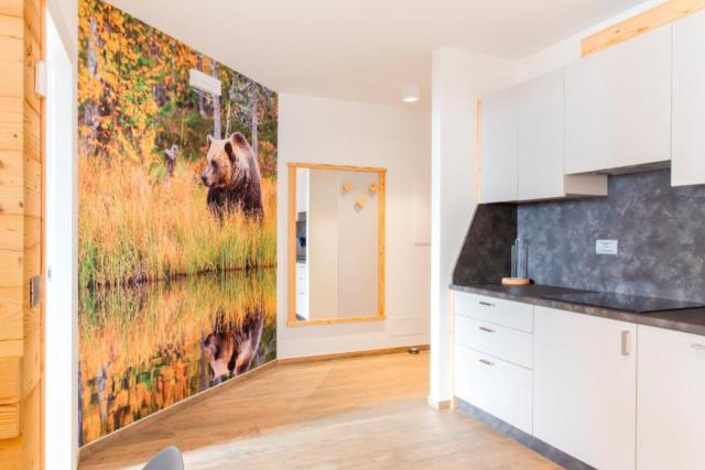 Jednoložnicový apartmán, Residence Mille Montagne, Andalo, CK 