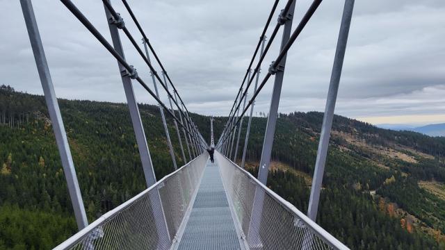 Sky Bridge 721