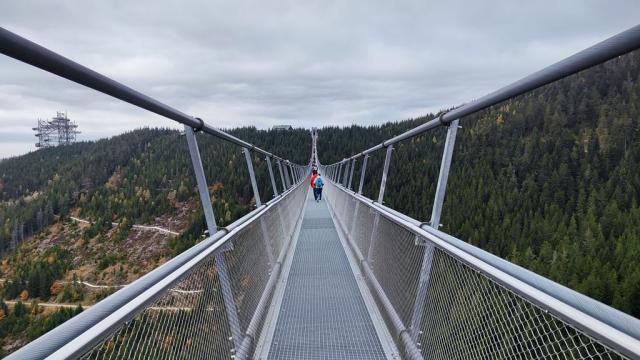 Sky Bridge 721