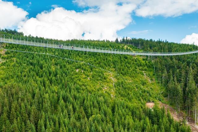 Sky Bridge 721