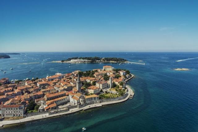 Plavi
