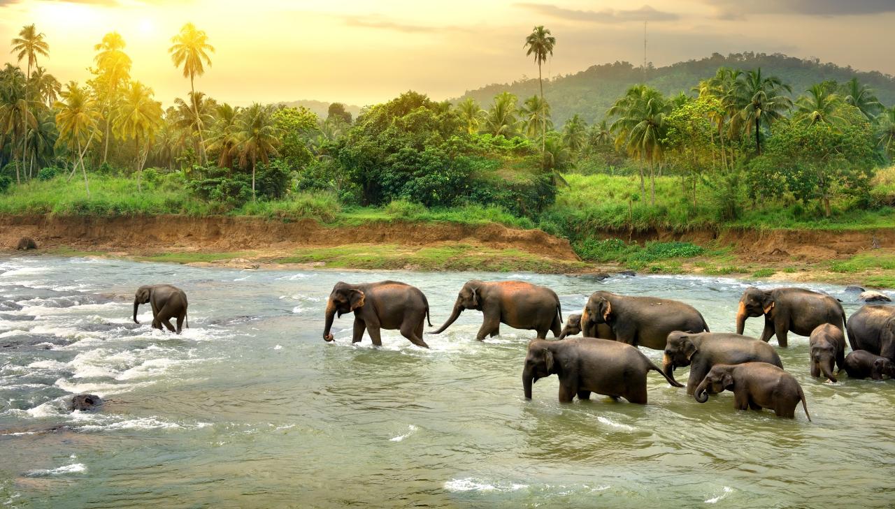 Srí Lanka