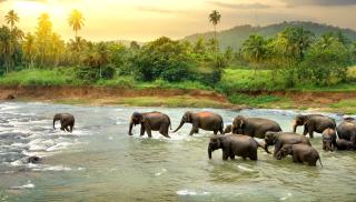 Srí Lanka