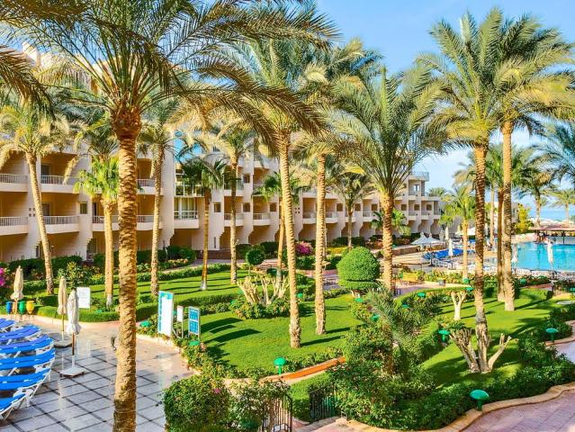 Sea Star Beau Rivage