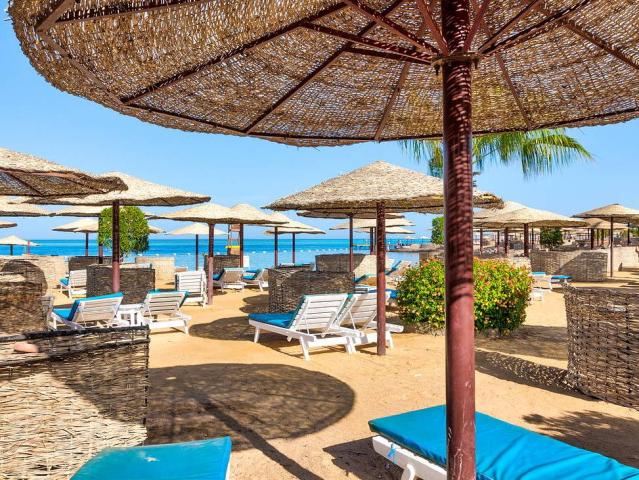 Sea Star Beau Rivage