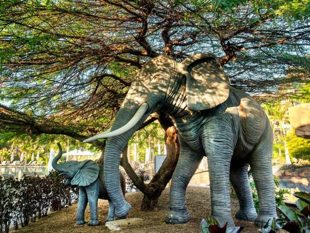 Lopesan Baobab Resort