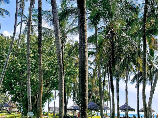 Neptune Village Beach Resort & Spa