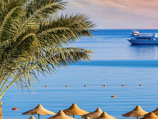 Egypt - podél Nilu