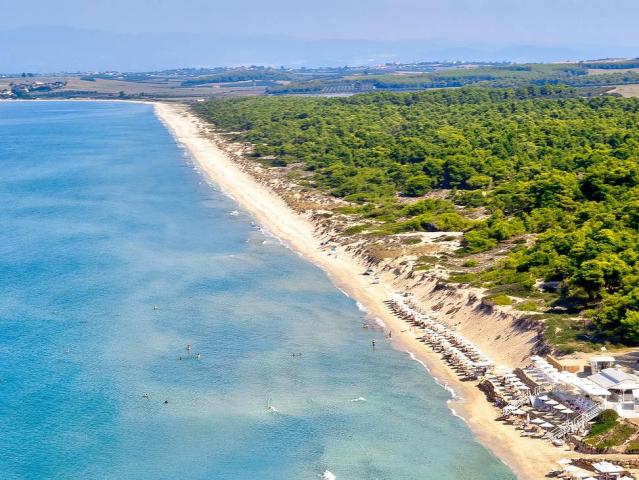 Sani Beach