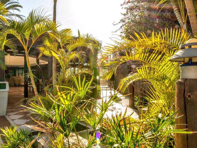 Corallium Beach Hotel