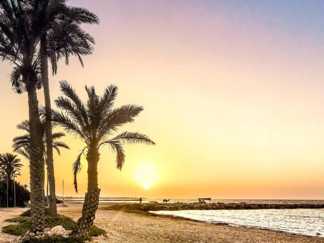 Djerba Castille