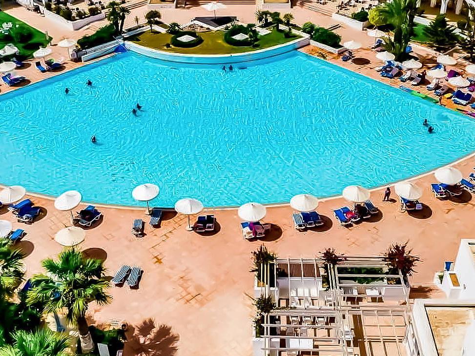 Palm Azur