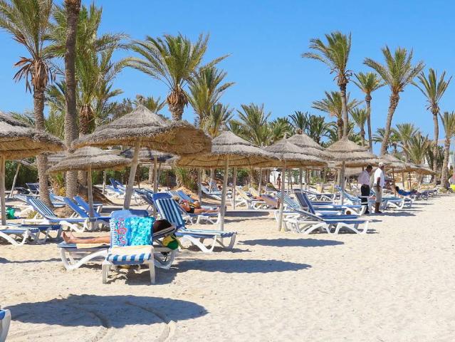 Palm Azur