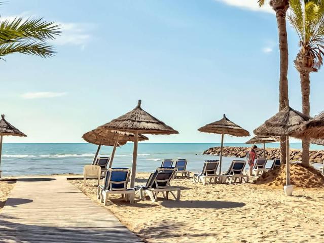 Palm Azur