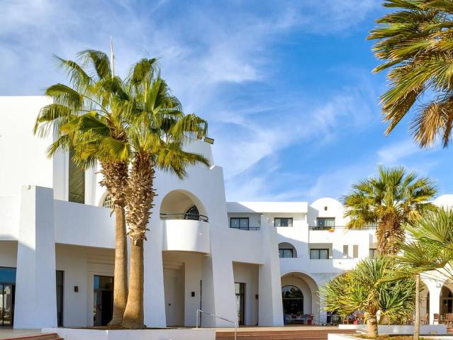 Palm Azur