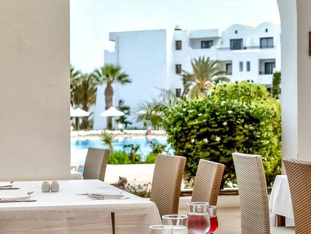 Palm Azur