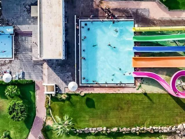 Palm Azur