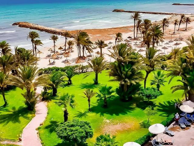 Palm Azur